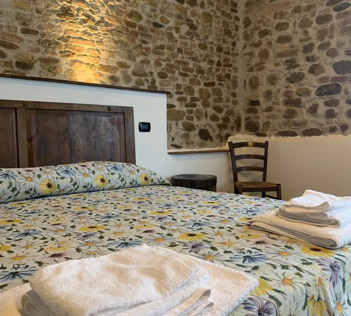 San Savino Ca'Silvia住宿加早餐旅馆 住宿加早餐酒店 San Savino (Rimini)